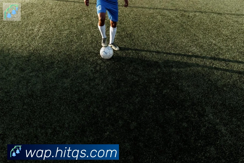 华体在线登录官网品牌故事