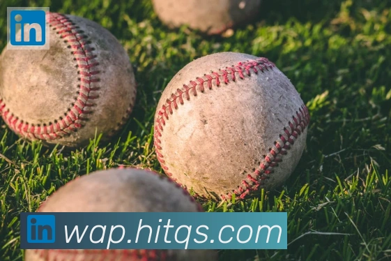 华体在线登录官网服务体系