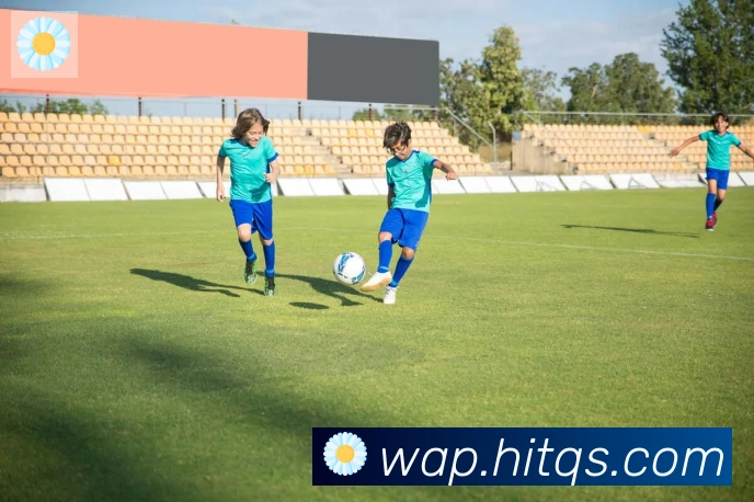 华体在线登录官网荣誉