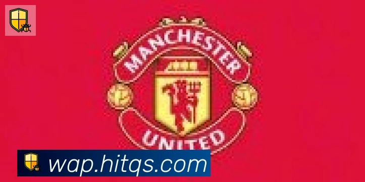 华体在线登录官网合作伙伴